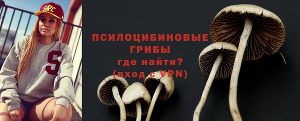 эйфоретик Абаза