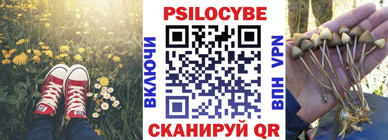хочу   Черепаново  Галлюциногенные грибы GOLDEN TEACHER 